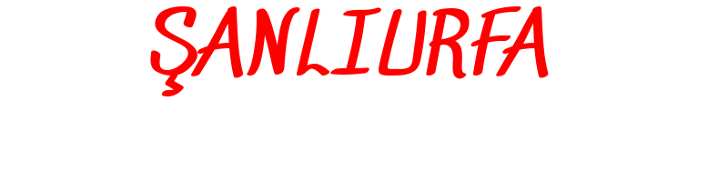 Şanlıurfa İskender Kebapçısı